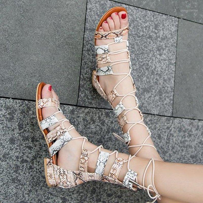 women summer sandals flats shoes woman PU leather plus size gladiator cross-tied lace up sandalias mujer sapato feminino D7571, White
women summer sandals flats shoes woman PU leather plus size gladiator cross-tied lace up sandalias mujer sapato feminino D7571, White