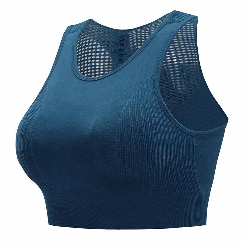 High Stretch Sports Bra for Women Quick Dry Gym Fitness Sports Top Seamless Yoga Running Workout Bra Mesh Crop Top Vest, Blue
High Stretch Sports Bra for Women Quick Dry Gym Fitness Sports Top Seamless Yoga Running Workout Bra Mesh Crop Top Vest, Blue