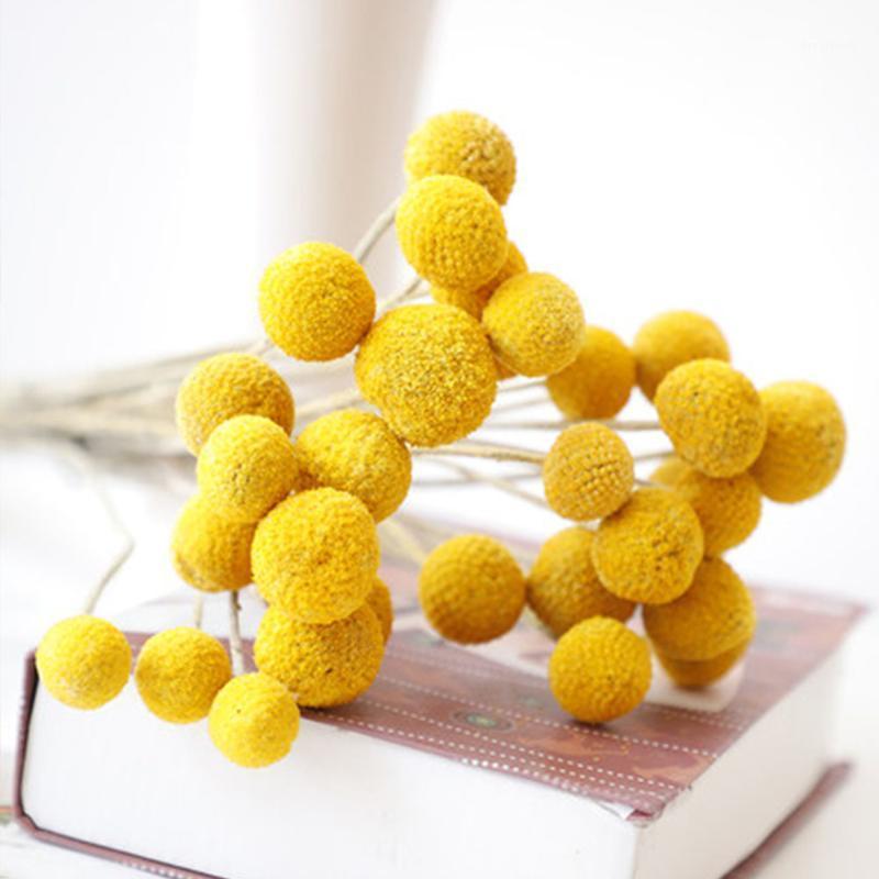 5 pcs Dried Flower Craspedia Billy Balls Wedding Bouquet Flower Branch Home Decoration Christmas Wreath DIY no vase1
5 pcs Dried Flower Craspedia Billy Balls Wedding Bouquet Flower Branch Home Decoration Christmas Wreath DIY no vase1
