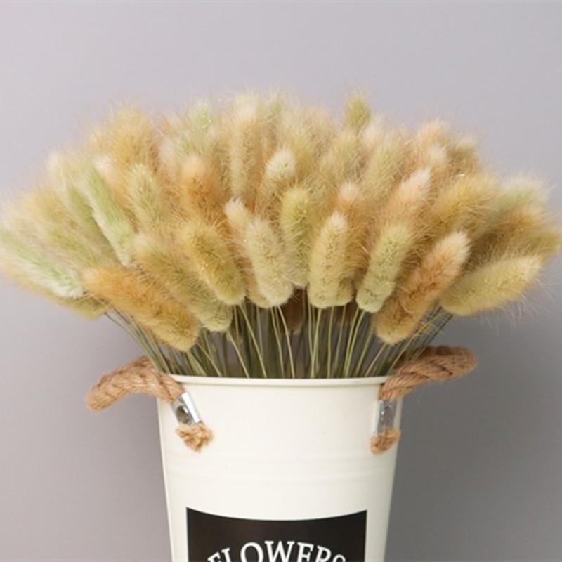 Droogbloemen Lovely 50Pcs Natural Dried Flowers Tail Grass Bunch Colorful Real Flower Bouquet Decoration For Home Wedding, Beige
Droogbloemen Lovely 50Pcs Natural Dried Flowers Tail Grass Bunch Colorful Real Flower Bouquet Decoration For Home Wedding, Beige