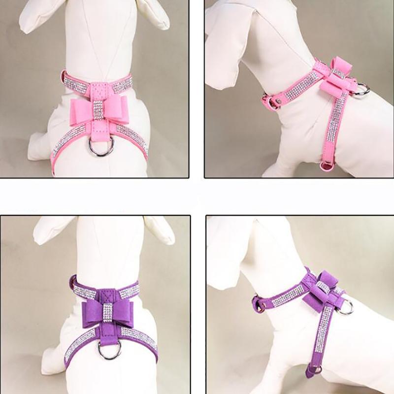Pet Collar Small Dog Chihuahua Collar Pet Supplies Puppy Dog Harness Velvet And Leather Leash Supplies
Pet Collar Small Dog Chihuahua Collar Pet Supplies Puppy Dog Harness Velvet And Leather Leash Supplies