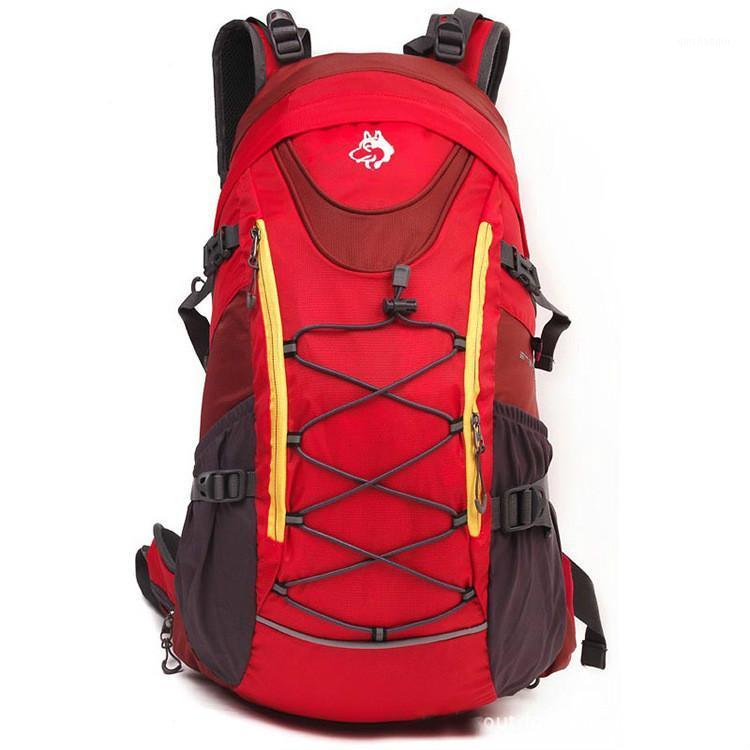 Jungle King 2020 outdoor travel professional mountaineering running 35L with waterproof backpack cover Distribution rain cover1, Blue color
Jungle King 2020 outdoor travel professional mountaineering running 35L with waterproof backpack cover Distribution rain cover1, Blue color