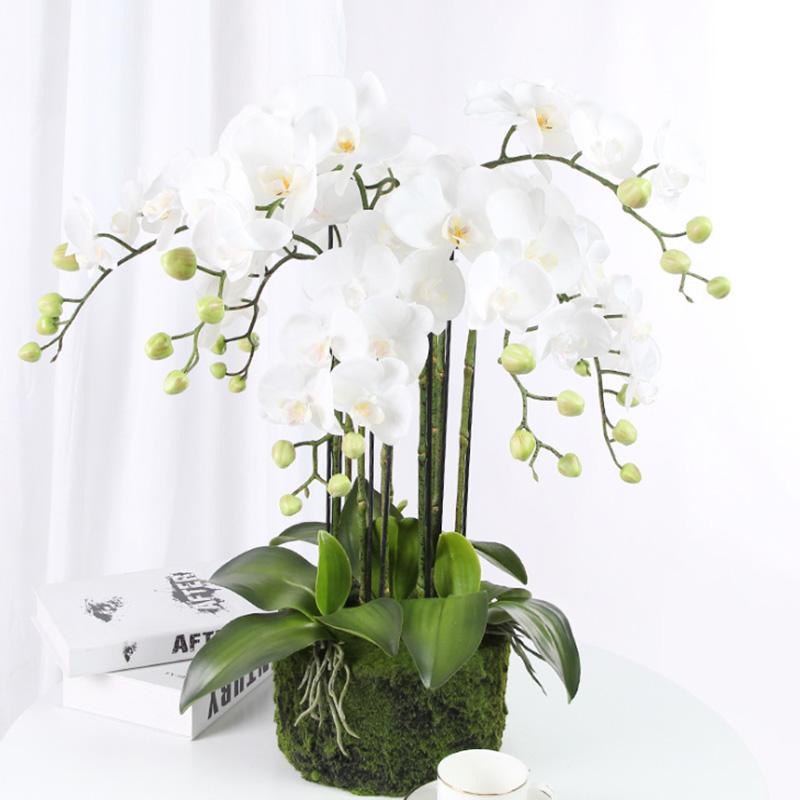 Decorative Flowers & Wreaths Real Touch 9-Heads Artificial Butterfly Orchid Latex Large Fake Phalaenopsis Silicon PU Party Wedding Home Deco
Decorative Flowers & Wreaths Real Touch 9-Heads Artificial Butterfly Orchid Latex Large Fake Phalaenopsis Silicon PU Party Wedding Home Deco