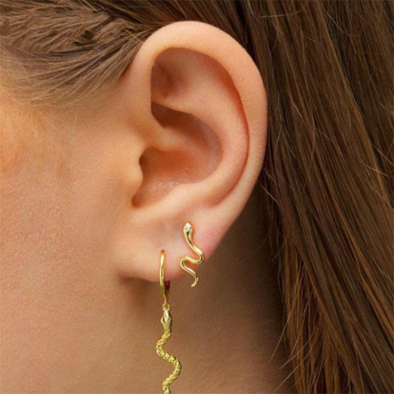 Februaryfrost Brand Fashion Women's Punk Style Animal Snake Earrings 100% 925 Sterling Silver Earring Snakelike Animal Climber Ear Jewe
Februaryfrost Brand Fashion Women's Punk Style Animal Snake Earrings 100% 925 Sterling Silver Earring Snakelike Animal Climber Ear Jewe