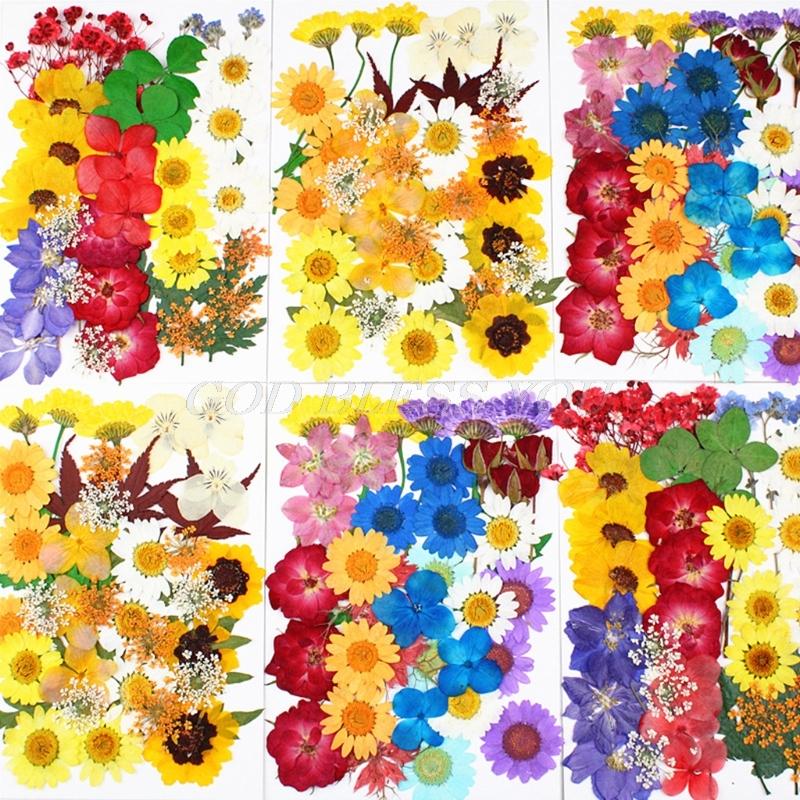1 Pack Dried Flowers UV Resin Decorative Natural Flower Stickers 3D Dry Beauty Decal Epoxy Mold DIY Filling Accessories
1 Pack Dried Flowers UV Resin Decorative Natural Flower Stickers 3D Dry Beauty Decal Epoxy Mold DIY Filling Accessories