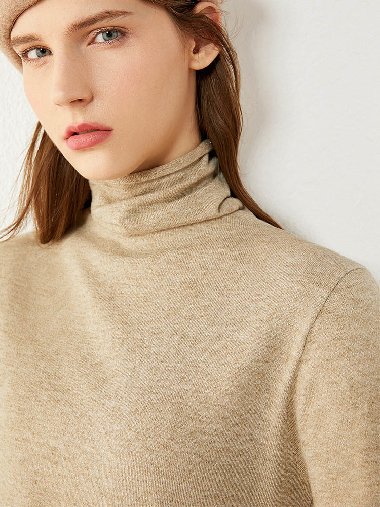 Amii Minimalism Winter Sweaters For Women Fashion Solid Women's Turtleneck Sweater Causal OLstyle Knitted Pullover Tops 12030562 201225
