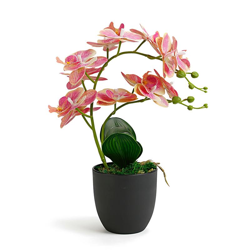 Orchid Artificial Flowers With Pot For Home Garden Decoration Real Touch Fake Latex Orchids Flowers Bonsai Flores Artificiales, Blue
Orchid Artificial Flowers With Pot For Home Garden Decoration Real Touch Fake Latex Orchids Flowers Bonsai Flores Artificiales, Blue