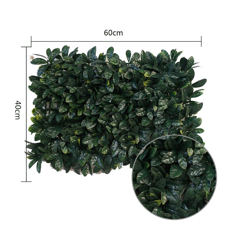 Artificial Green Grass Square Plastic Lawn Plant Home Wall Decoration Sturdy And Durable High Quality
Artificial Green Grass Square Plastic Lawn Plant Home Wall Decoration Sturdy And Durable High Quality
