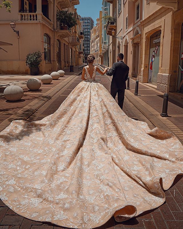 modest ball gown wedding dresses v neck 3d lace appliques ruched bridal gowns plus size cathedral train royal luxury wedding robes