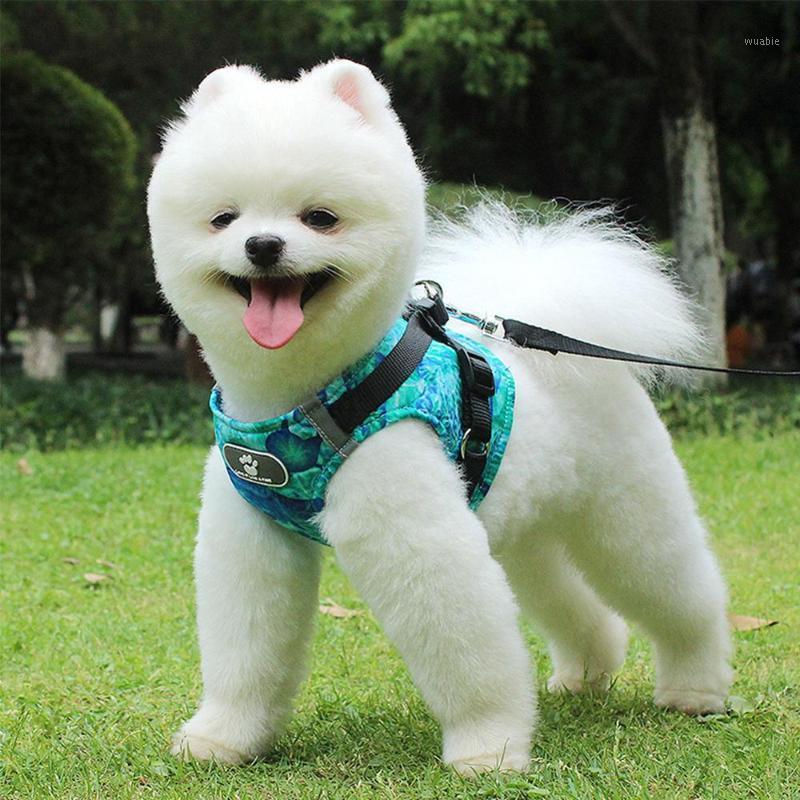 Pet Dog Vest Reflective Vest Harness With Leash Puppy Harness And Leash Set Walking Dog Supplies1, Green