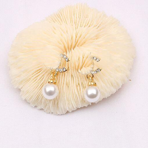 22ss 20style Design Classic High Quality Letter Stud Long Dangle Drop Earrings Heart Pearl Tassel Crystal Rhinestone Wedding Party Jewelry Accessories
22ss 20style Design Classic High Quality Letter Stud Long Dangle Drop Earrings Heart Pearl Tassel Crystal Rhinestone Wedding Party Jewelry Accessories