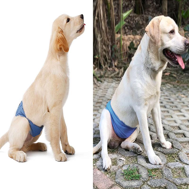 Comfortable Dog Diaper Underwear Washable Reusable Polyester Waterproof Pet Pants For Puppy Dog Small S-L Size, Black
Comfortable Dog Diaper Underwear Washable Reusable Polyester Waterproof Pet Pants For Puppy Dog Small S-L Size, Black