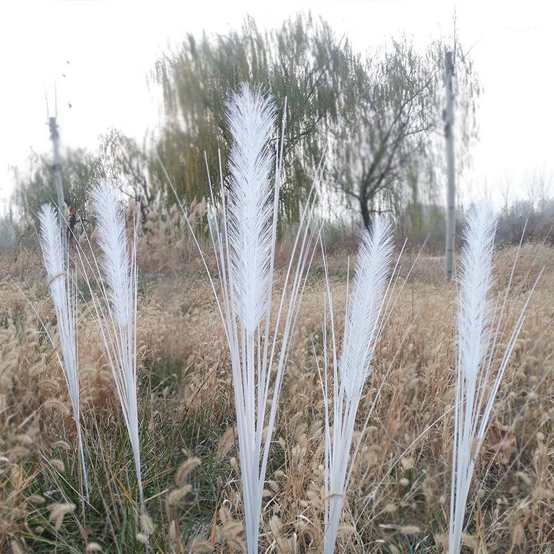 80cm Artificial Reed Dog Tail Grass Onion Grass Fake Flower Plant Feather Peacock Branch Wedding Props T Platform Decoration1, As pic
80cm Artificial Reed Dog Tail Grass Onion Grass Fake Flower Plant Feather Peacock Branch Wedding Props T Platform Decoration1, As pic