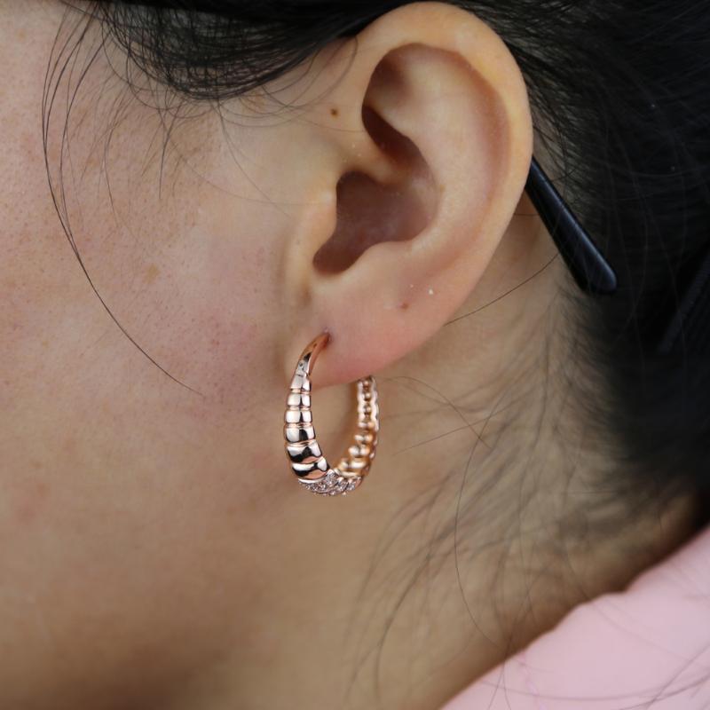 Punk Fashion Polished Bamboo Design Hoop Earrings Rose Gold Colors Pave Bling Cubic Zircon for Women European Ear Jewelry Gifts
Punk Fashion Polished Bamboo Design Hoop Earrings Rose Gold Colors Pave Bling Cubic Zircon for Women European Ear Jewelry Gifts