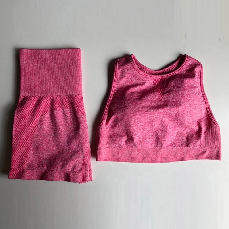 2PCS Seamless Yoga Set Gym Clothing Women Sportswear Sports Bra Fitness Crop Tops Scrunch Butt Shorts Leggings Sports Suit Y200328, Purple top
2PCS Seamless Yoga Set Gym Clothing Women Sportswear Sports Bra Fitness Crop Tops Scrunch Butt Shorts Leggings Sports Suit Y200328, Purple top