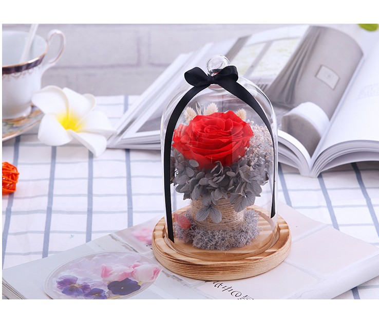 Preserved Valentines Day Gift Everlasting flower With Glass Cover Rose In Glass Dome Mother's Day Gift