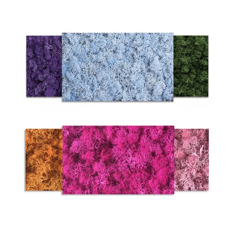 Mother's Day Gifts 200g DIY Decoration Long Time Lasting Preserved Moss Flower for Furnishing with All Kinds of Color, 08
Mother's Day Gifts 200g DIY Decoration Long Time Lasting Preserved Moss Flower for Furnishing with All Kinds of Color, 08