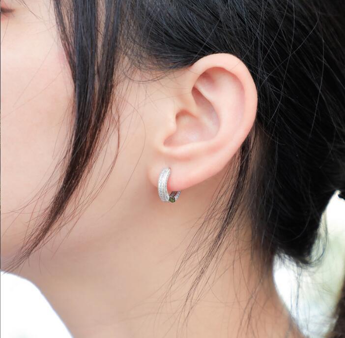 18K Gold Plated Copper Zircon Hoop Earrings Men Women Hip Hop Jewelry Iced Out Stud Earings Bling Diamond Earring for Girls5699098