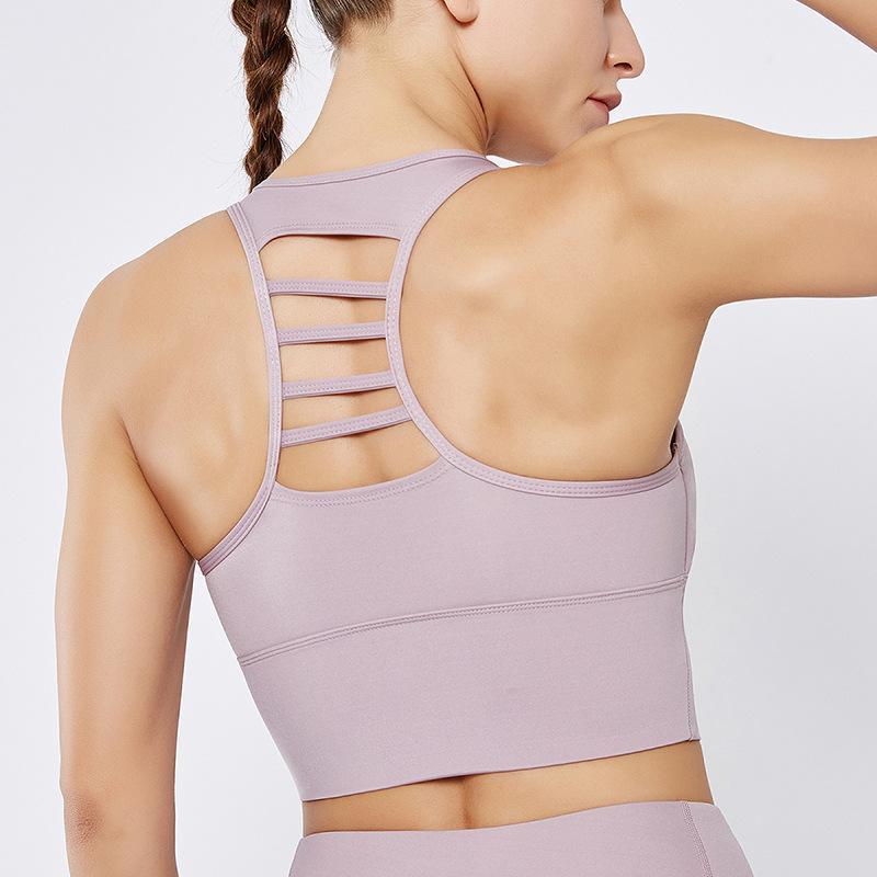 High Strength Sports Running Bras Pink Stripe Crop Tops Shockproof Quick Dry Gym Tops workout Fitness Bra Women Solid Vest-Type1, Black
High Strength Sports Running Bras Pink Stripe Crop Tops Shockproof Quick Dry Gym Tops workout Fitness Bra Women Solid Vest-Type1, Black