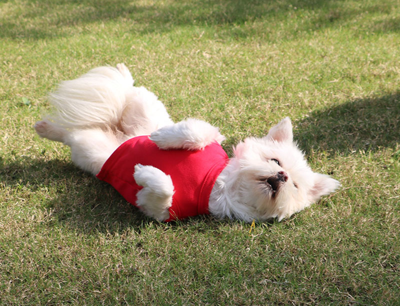 Puppy Clothes Spring Summer Dog T-shirt Green Black Pet Apparel Pets Supplies