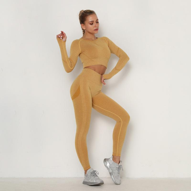 Seamless Yoga Set Tracksuit Women Fitness Clothing Workout Clothes Long Sleeve Crop Top Fitness Yoga Pants 2 Piece Set Gym Suit, Blue
Seamless Yoga Set Tracksuit Women Fitness Clothing Workout Clothes Long Sleeve Crop Top Fitness Yoga Pants 2 Piece Set Gym Suit, Blue