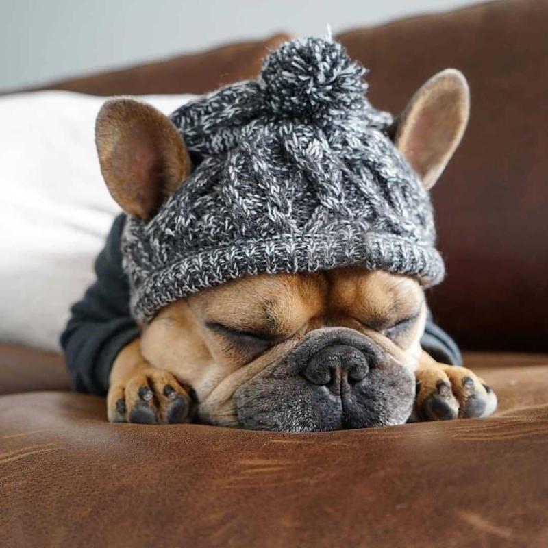 Winter Dog Hat - Keep Their Heads Warm Safe From Frostbite Accessories Woolen Puppy Hat With Ball Pet Products, Multicolor
Winter Dog Hat - Keep Their Heads Warm Safe From Frostbite Accessories Woolen Puppy Hat With Ball Pet Products, Multicolor