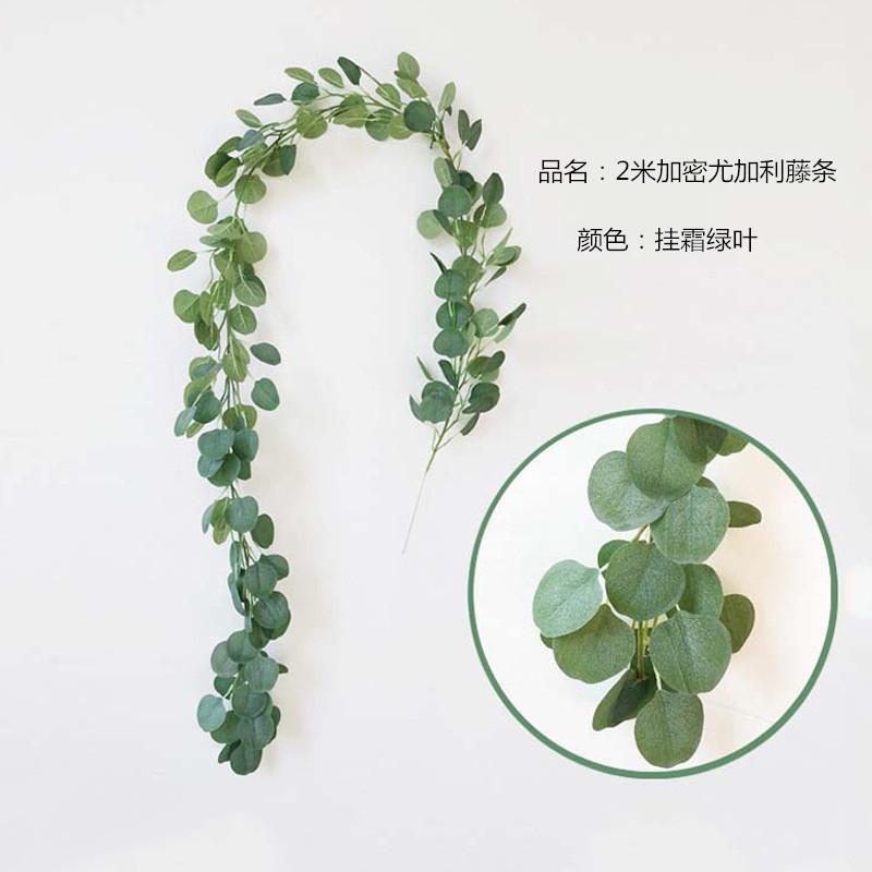 2m Eucalyptus rattan artificial plans wedding background decoration simulation green plant Eucalyptus vine hanging plant1
2m Eucalyptus rattan artificial plans wedding background decoration simulation green plant Eucalyptus vine hanging plant1