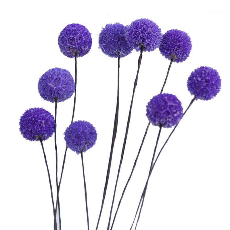 1PCS Dandelions Flower Ball Simulation Artificial Fake Flower Photo Props Wedding Holding Never Fade TB Sale1
1PCS Dandelions Flower Ball Simulation Artificial Fake Flower Photo Props Wedding Holding Never Fade TB Sale1