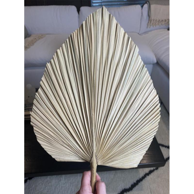 1pcs Palm Fan Leaf Dried Flower Palm Leaf Window Reception Party Diy Art Wall Hanging Decoration For Wedding Arch Arr jllXlH
1pcs Palm Fan Leaf Dried Flower Palm Leaf Window Reception Party Diy Art Wall Hanging Decoration For Wedding Arch Arr jllXlH