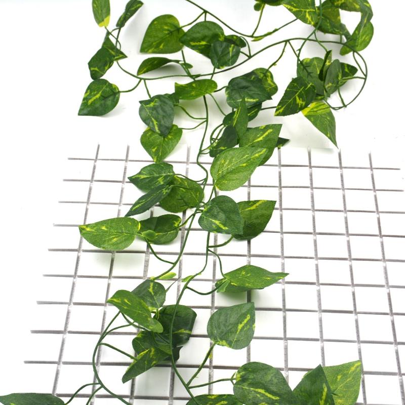 2M vine artificial flower vine wreath wedding arch decoration fake plant green leaves rattan creeper artificial flower ivy wall, Triangle leaf
2M vine artificial flower vine wreath wedding arch decoration fake plant green leaves rattan creeper artificial flower ivy wall, Triangle leaf