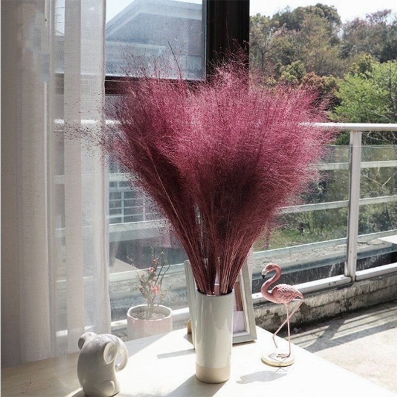 Pampas Grass Thinker 50pcs Dried Muhly Grass Bouquet Pure Natural Flower Bouquets Muhly Grass Bunch for Home Wedding Decor, Purple
Pampas Grass Thinker 50pcs Dried Muhly Grass Bouquet Pure Natural Flower Bouquets Muhly Grass Bunch for Home Wedding Decor, Purple