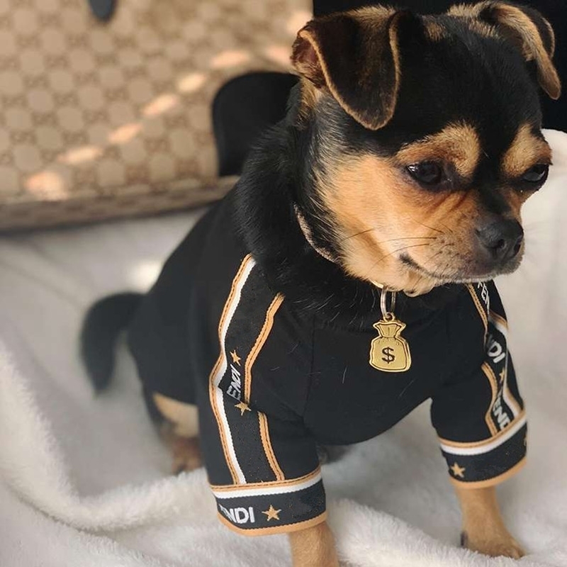 Fashon Pet Dog Clothes Soft Cotton Hoodies Outfit For Small Dogs Teddy Clothing Puppy Coat B1084 201118, Fb
Fashon Pet Dog Clothes Soft Cotton Hoodies Outfit For Small Dogs Teddy Clothing Puppy Coat B1084 201118, Fb