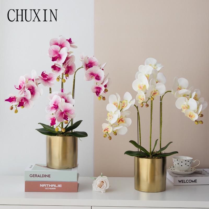 Real touch moisturizing artificial Butterfly Orchid silk fake flowers for Wedding DIY Decor restaurant home Decoration Flore, Blue
Real touch moisturizing artificial Butterfly Orchid silk fake flowers for Wedding DIY Decor restaurant home Decoration Flore, Blue