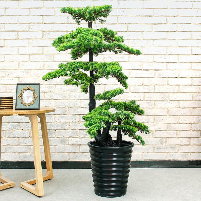 Artificial 140cm welcome pine tree fake plants home hotel decoration greenery plant house plants bonsai1, 1.4m
Artificial 140cm welcome pine tree fake plants home hotel decoration greenery plant house plants bonsai1, 1.4m