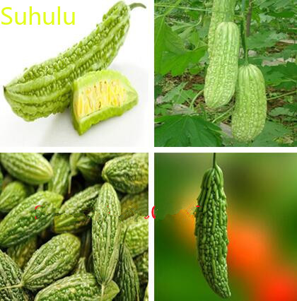 New Variety 10pcs Bitter Melon Seeds Garden Indoor Flowers Balcony & Courtyard Purifying Air Bonsai Plant The Germination Rate 95%
New Variety 10pcs Bitter Melon Seeds Garden Indoor Flowers Balcony & Courtyard Purifying Air Bonsai Plant The Germination Rate 95%