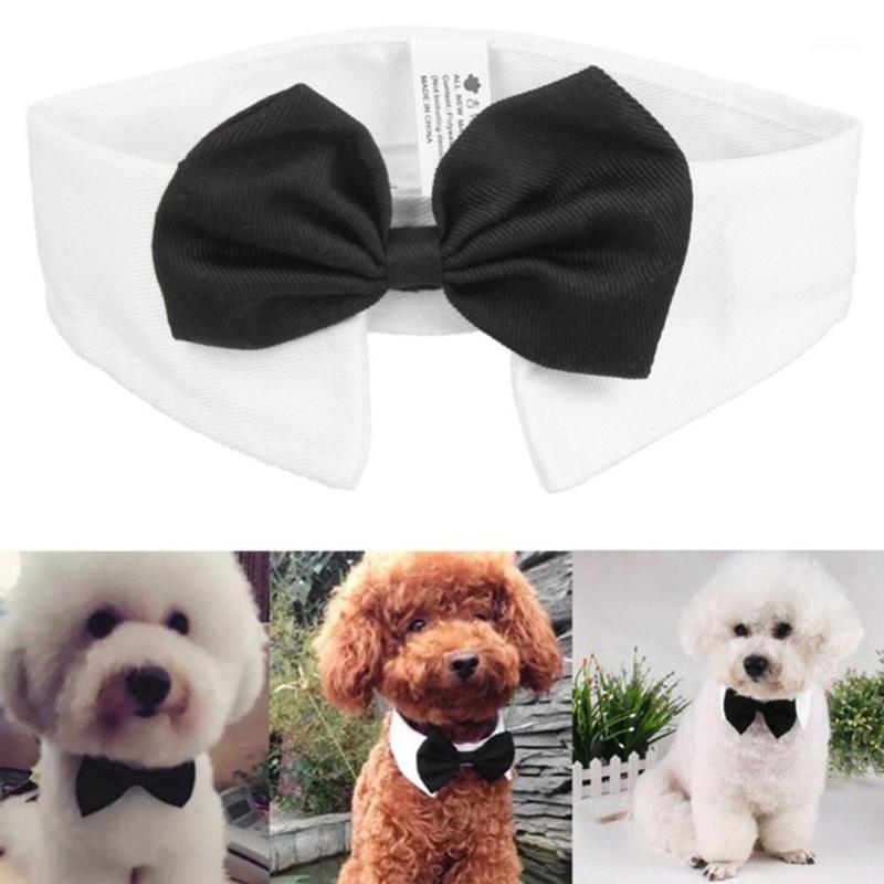 Dog Cat Pet Tie Puppy Toy Bow Tie Necktie Clothes British Black Kitten Handsome Dog Puppy Necktie for Pet Festival Decoratio1
Dog Cat Pet Tie Puppy Toy Bow Tie Necktie Clothes British Black Kitten Handsome Dog Puppy Necktie for Pet Festival Decoratio1
