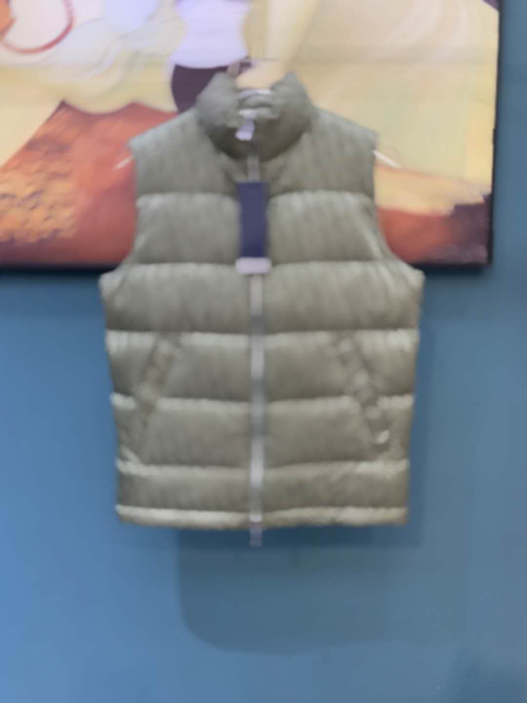 20FW Autumn and winter Down Vest Winter Warm Fashion Coats Down Jacket Outwear zdll1003., Customize 1
20FW Autumn and winter Down Vest Winter Warm Fashion Coats Down Jacket Outwear zdll1003., Customize 1