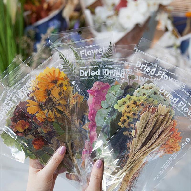 DIY Material Stickers For The Plant Diary Kawaii Handbook Notes Decorative Stickers Stationary Scrapbooking School Supplies
DIY Material Stickers For The Plant Diary Kawaii Handbook Notes Decorative Stickers Stationary Scrapbooking School Supplies