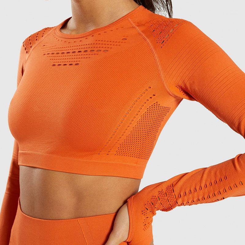 Women Seamless Long Sleeve Crop Yoga Top Gym Running Sport Shirt Fitness Sportswear Woman Elastic Tight Workout Tops1, Black
Women Seamless Long Sleeve Crop Yoga Top Gym Running Sport Shirt Fitness Sportswear Woman Elastic Tight Workout Tops1, Black