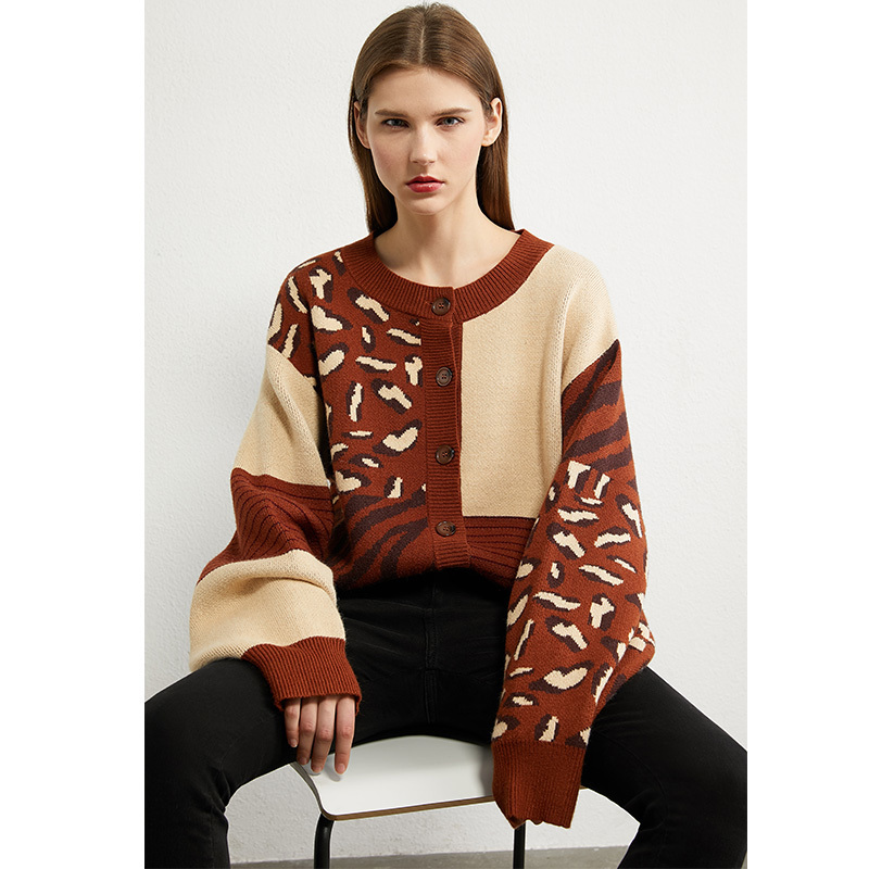 Amii Minimalism Autumn Winter Fashion Sweaters For Women Causal Onck Printed Loose Women's Sweater Women's sweater 12040603 201023