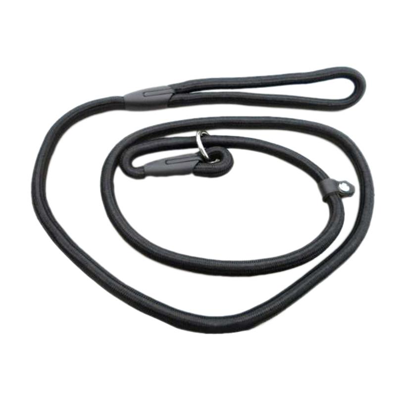 2Pcs 1.0X140cm Pet Dog Nylon Adjustable Loop Training Lead Collar Leash Traction Rope
2Pcs 1.0X140cm Pet Dog Nylon Adjustable Loop Training Lead Collar Leash Traction Rope