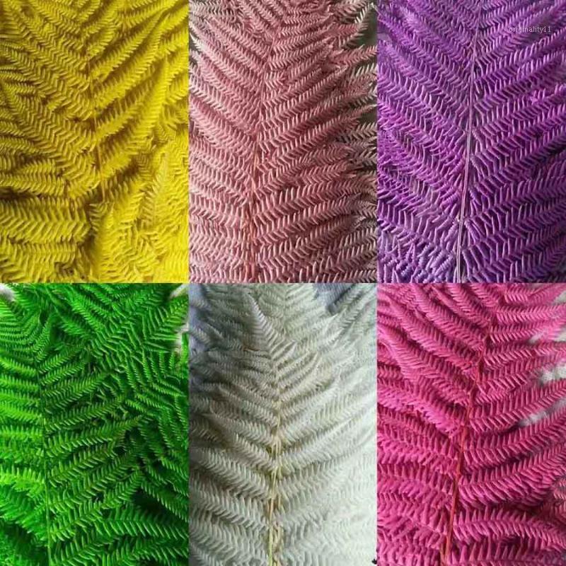 10pcs Preserved Green/Blue/Yellow/White/Pink Fern Leaf Leaves For Bouquet Wreath Garland Making Material Accessory Craft DIY1
10pcs Preserved Green/Blue/Yellow/White/Pink Fern Leaf Leaves For Bouquet Wreath Garland Making Material Accessory Craft DIY1