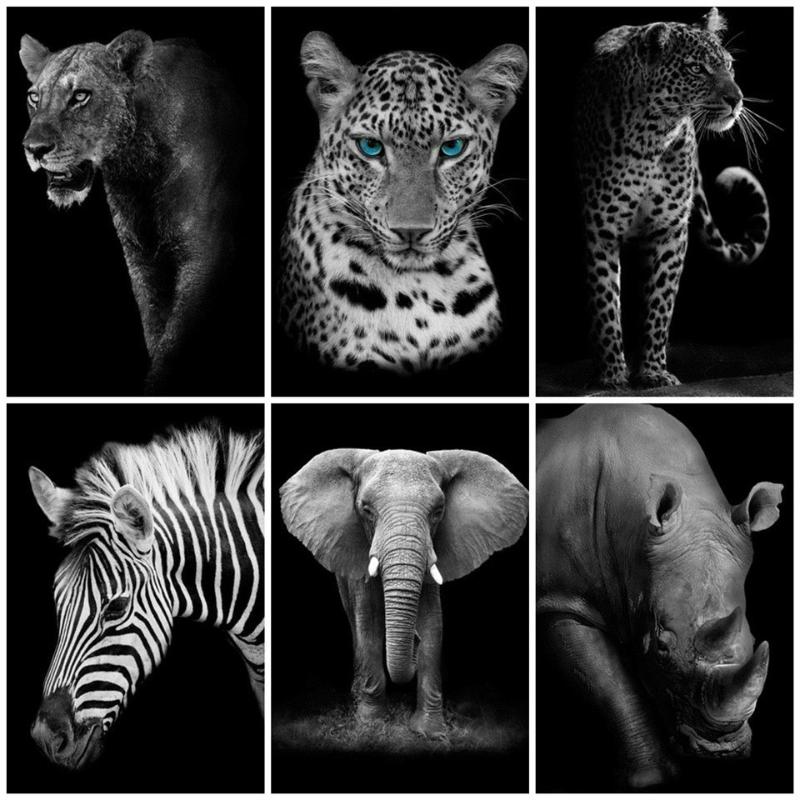 AZQSD Diamond Painting Animal Black White DIY Diamond Mosaic Elephant Embroidery Picture of Rhinestones Pictures Home Decoration
AZQSD Diamond Painting Animal Black White DIY Diamond Mosaic Elephant Embroidery Picture of Rhinestones Pictures Home Decoration