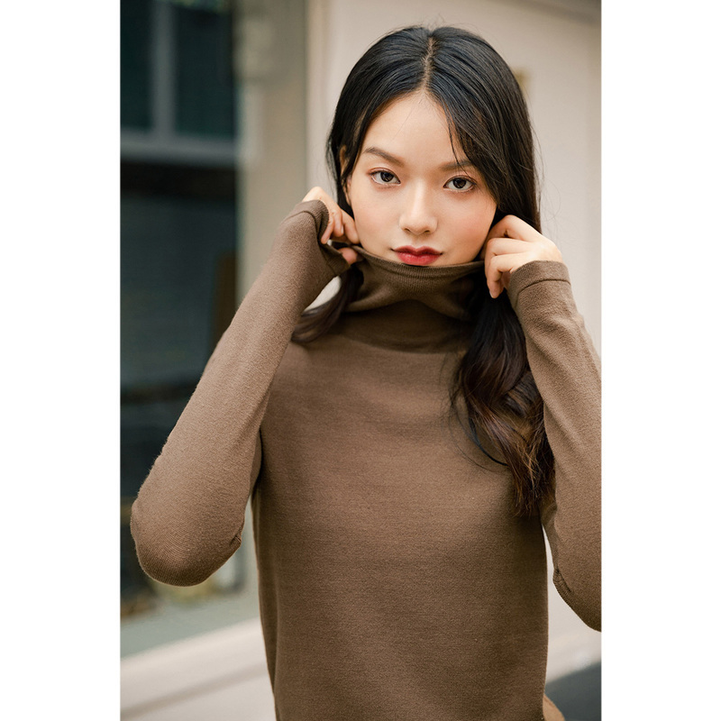 INMAN Winter Arrivals Inner High Neck Basic Long Sleeve Thin Pure Color Slim Bottomed Women's Sweater 201224