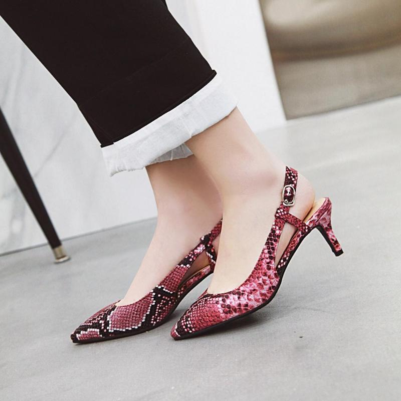 Women Classic Slingback Kitten Heels Dress Pump Snake Prints Brown Black Grace Occupation Pumps Shoes big size 34-43, 2 red
Women Classic Slingback Kitten Heels Dress Pump Snake Prints Brown Black Grace Occupation Pumps Shoes big size 34-43, 2 red