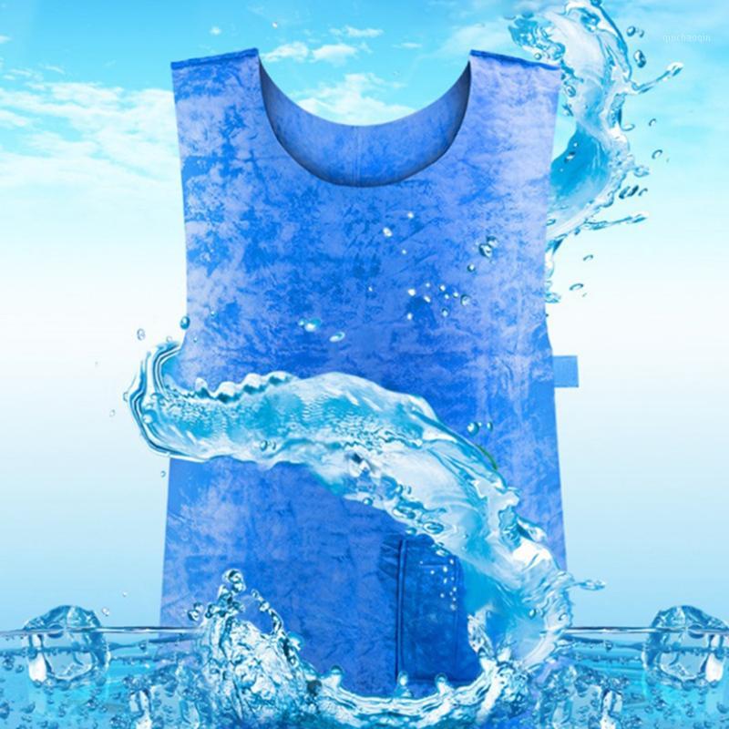 2Pcs Summer Cooling Vest Heat Pissipation PVA Waterproof Vest Work Vests for High Temperature Protective Blue1, Blue
2Pcs Summer Cooling Vest Heat Pissipation PVA Waterproof Vest Work Vests for High Temperature Protective Blue1, Blue