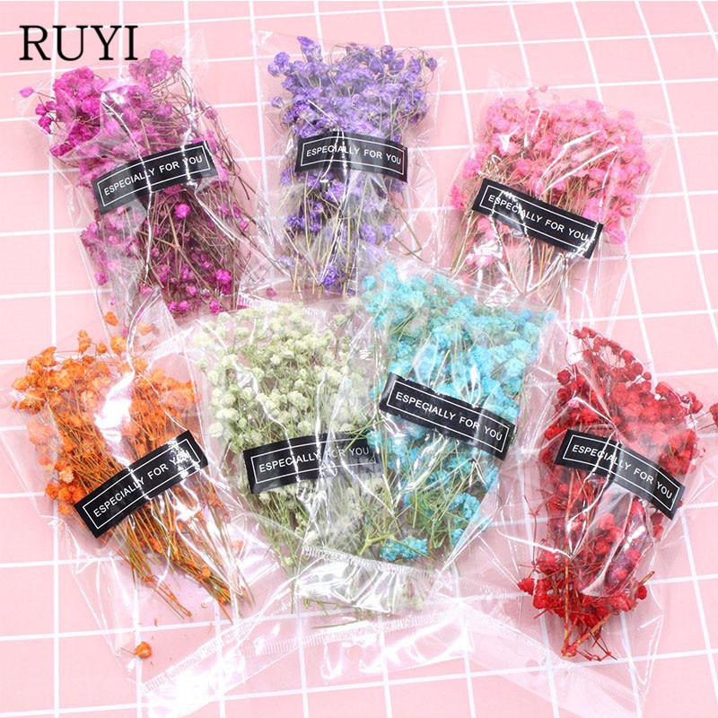 Mini Garden Micro Landscape Accessories Natural dried flowers dried gypsophila Garden home decoration wall DIY Flower material, Blue
Mini Garden Micro Landscape Accessories Natural dried flowers dried gypsophila Garden home decoration wall DIY Flower material, Blue