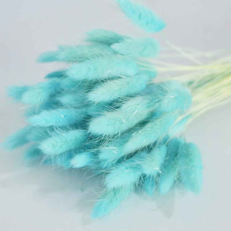 1 Bunch/60 Pcs Wedding Decoration Dried Grass Tail Hay Natural Plants Dried Flowers for Photography Flower Arrangement (B, As shown 1
1 Bunch/60 Pcs Wedding Decoration Dried Grass Tail Hay Natural Plants Dried Flowers for Photography Flower Arrangement (B, As shown 1