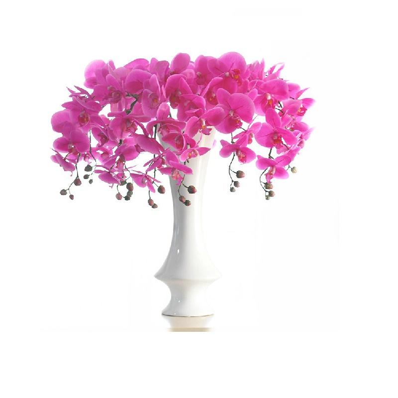 100pcs 9 Flower/Stem Plastic Orchids Real Touch Moth Orchid Butterfly Wedding Flower Party Decoration Event Wholesales Decorative Flowers, 100 pc purple
100pcs 9 Flower/Stem Plastic Orchids Real Touch Moth Orchid Butterfly Wedding Flower Party Decoration Event Wholesales Decorative Flowers, 100 pc purple