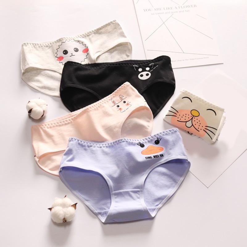 Cartoon Printed Mid Waist Briefs Ladies Underwear Cotton Women Panties Breathable Underpants Cute Cotton Multicolor Comfortble, Black
Cartoon Printed Mid Waist Briefs Ladies Underwear Cotton Women Panties Breathable Underpants Cute Cotton Multicolor Comfortble, Black